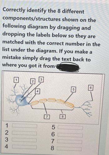 Answered Correctly Identify The Different Components Structures