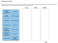 Answered Drag And Drop The Descriptions On The Left Into The Correct