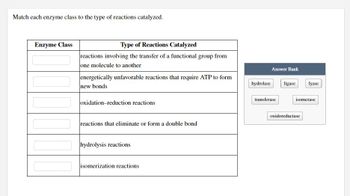 Answered Match Each Enzyme Class To The Type Of Bartleby