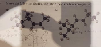 Answered Name The Following Alkenes Including Bartleby