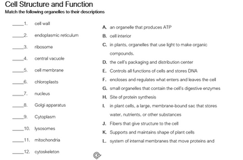 Answered Cell Structure And Function Match The Bartleby