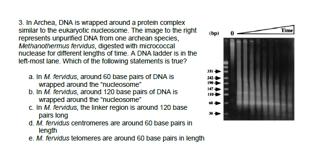 Answered In Archea Dna Is Wrapped Around A Bartleby