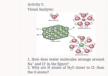 Answered Activity C Visual Analysis Ct Na Bartleby