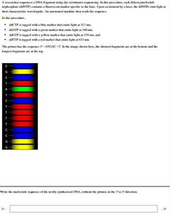 A Researcher Sequences A DNA Fragment Using Bartleby