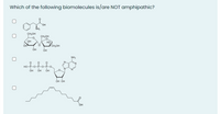 Answered Which Of The Following Biomolecules Bartleby