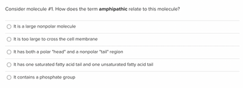 Answered Consider Molecule How Does The Term Amphipathic Relate To