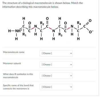 Answered The Structure Of A Biological Bartleby