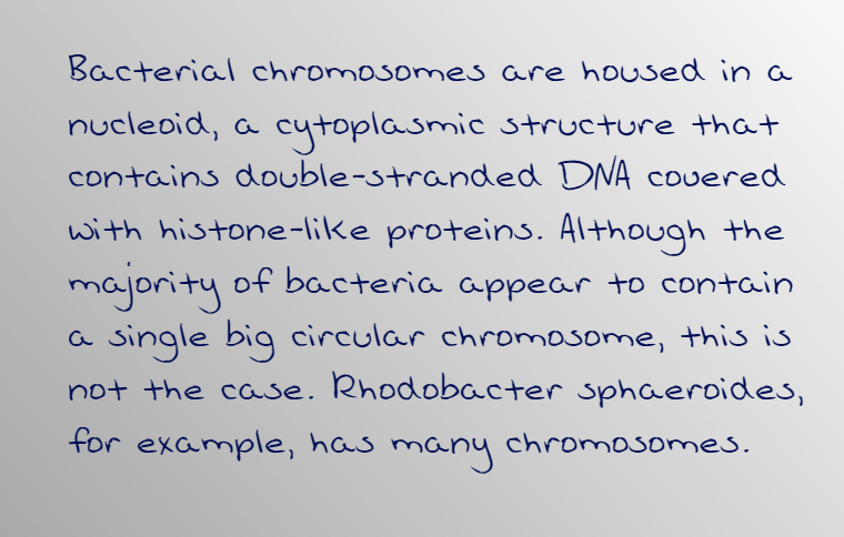 Biology homework question answer, step 1, image 1