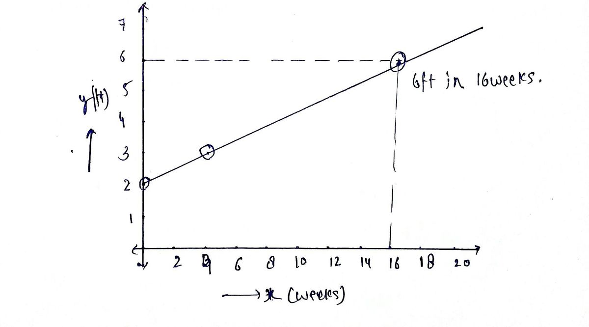 Algebra homework question answer, step 1, image 2