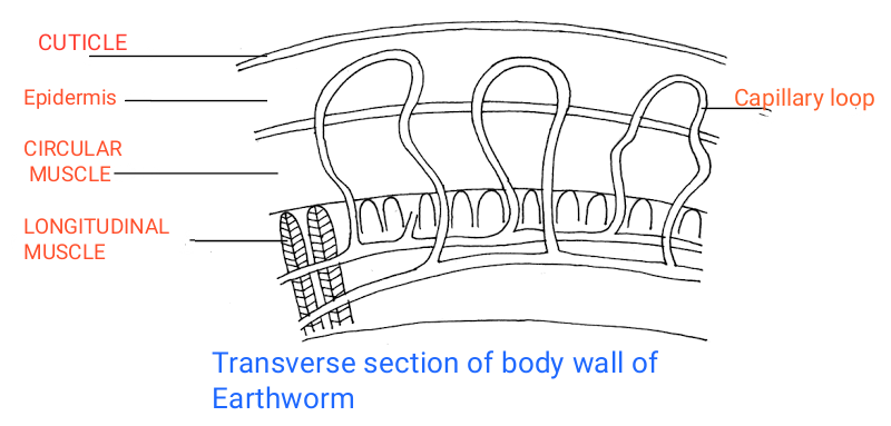 Biology homework question answer, step 1, image 1