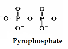 Biochemistry homework question answer, step 1, image 1