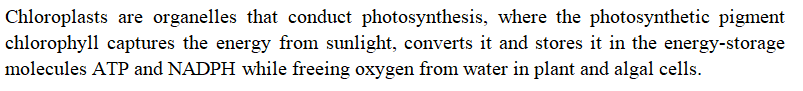 Biology homework question answer, step 1, image 1