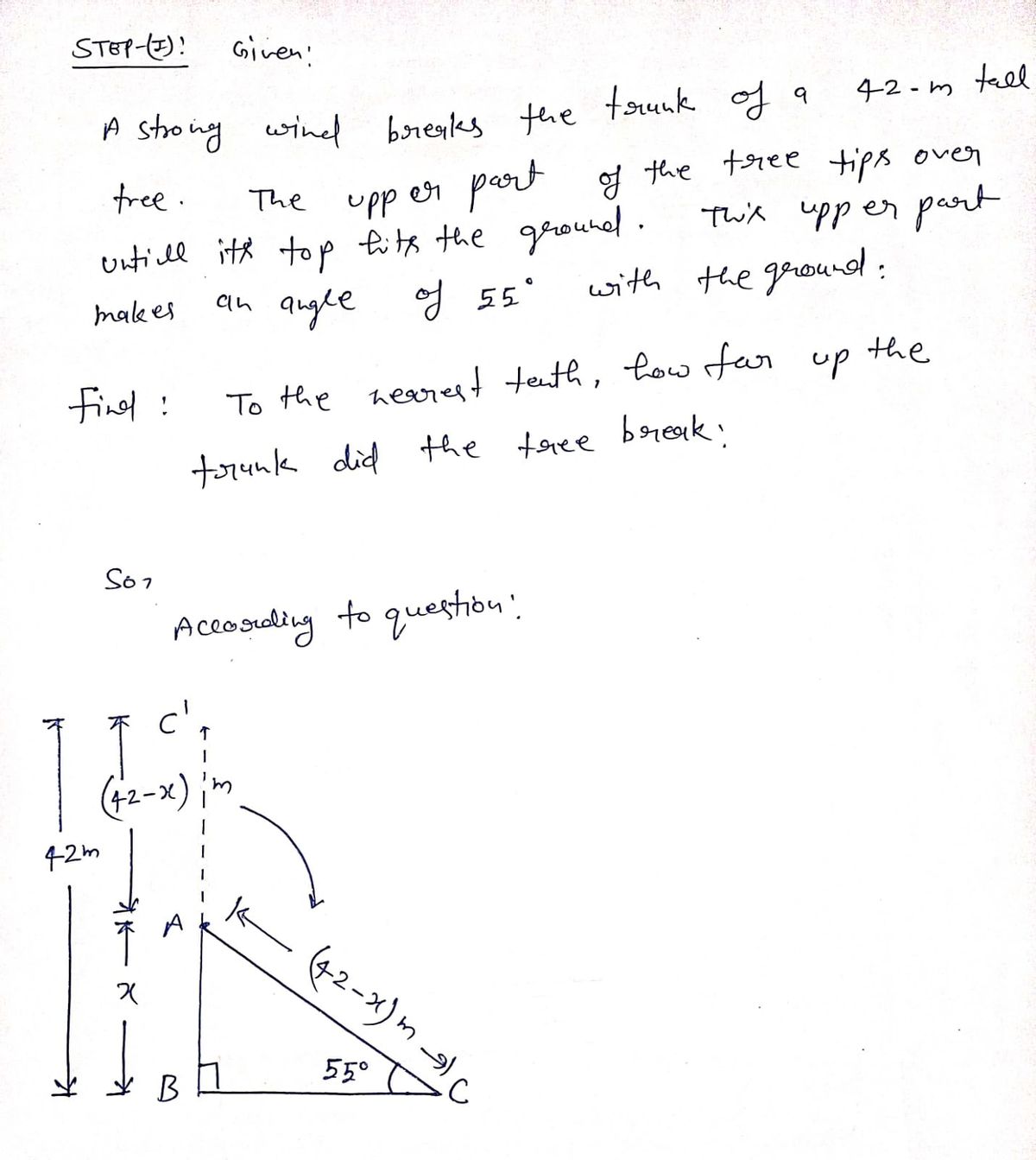 Geometry homework question answer, step 1, image 1