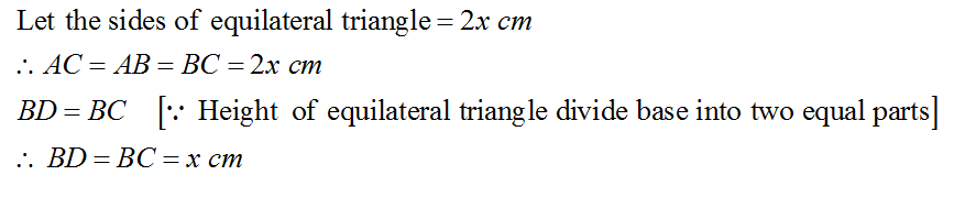 Geometry homework question answer, step 1, image 3