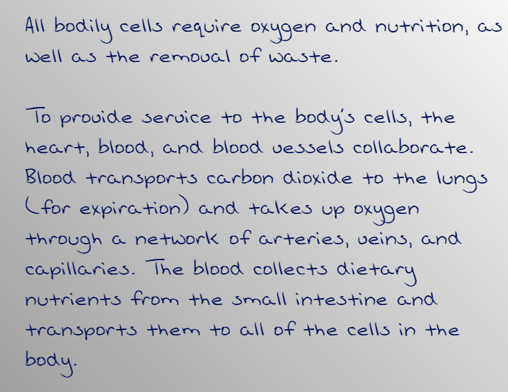 Biology homework question answer, step 1, image 1