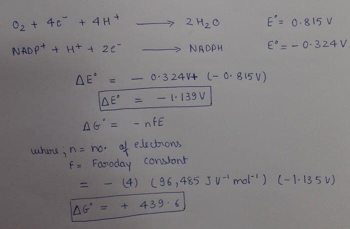 Biology homework question answer, step 1, image 1