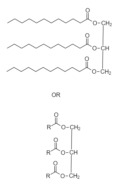 Chemistry homework question answer, step 2, image 1