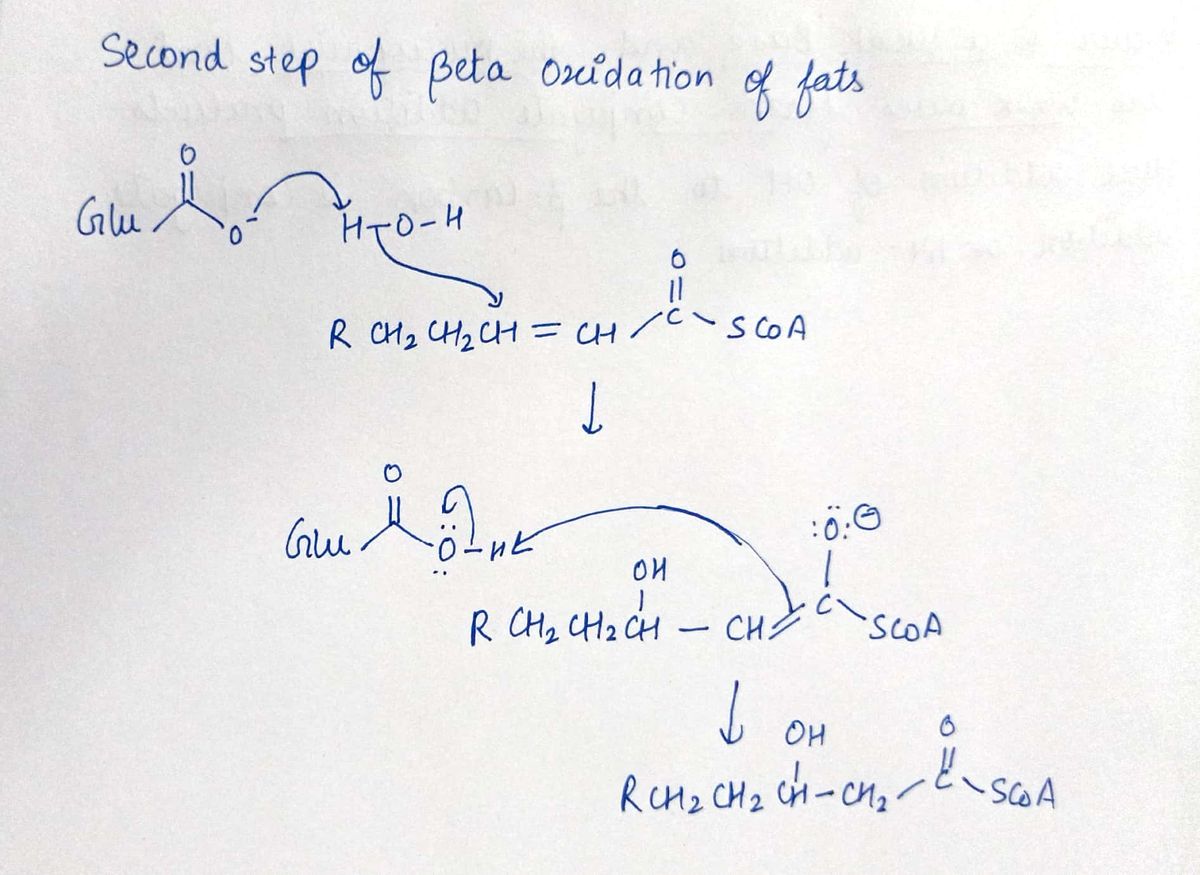 Chemistry homework question answer, step 1, image 1