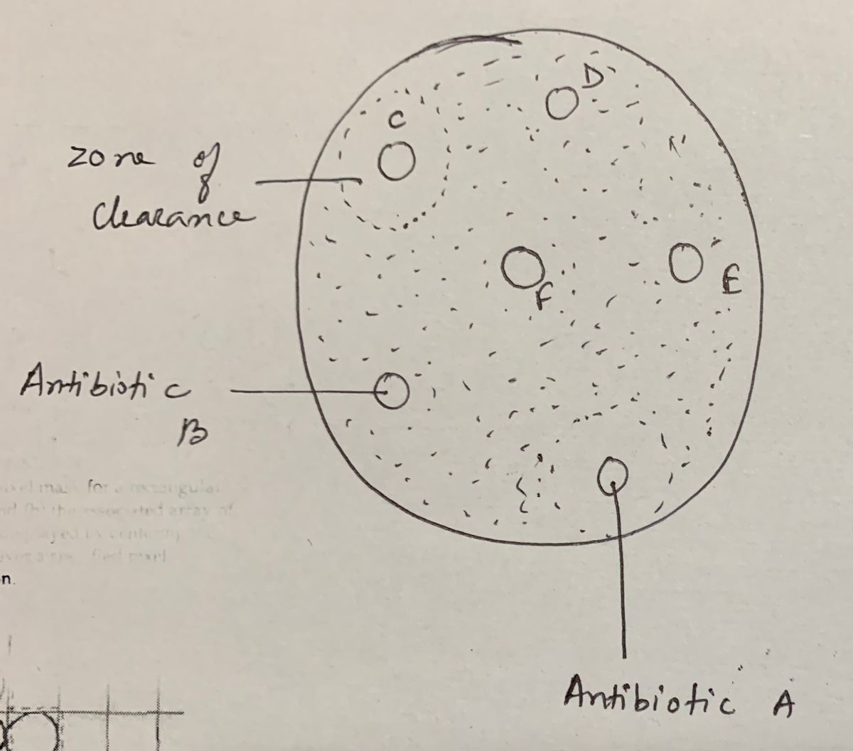 Biology homework question answer, step 1, image 1