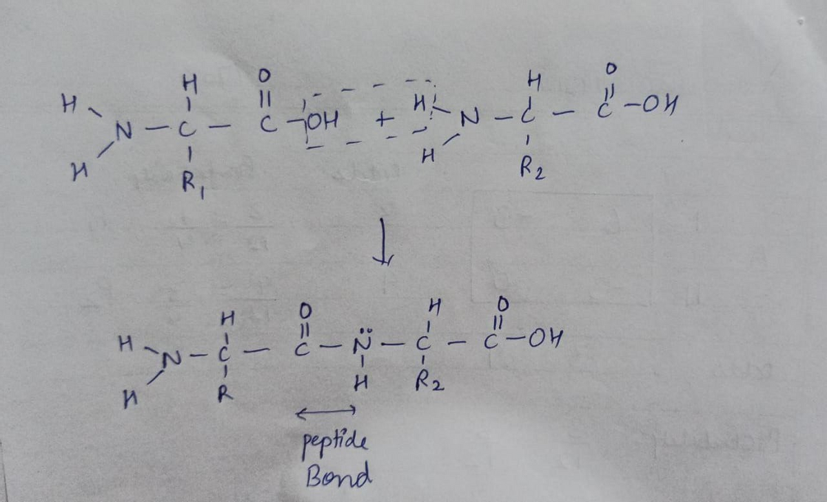 Chemistry homework question answer, step 1, image 1