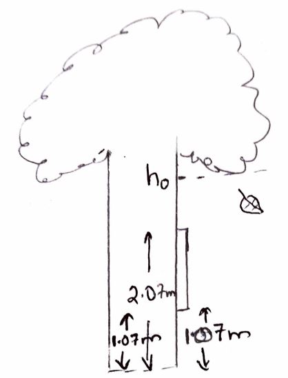 Physics homework question answer, step 1, image 1