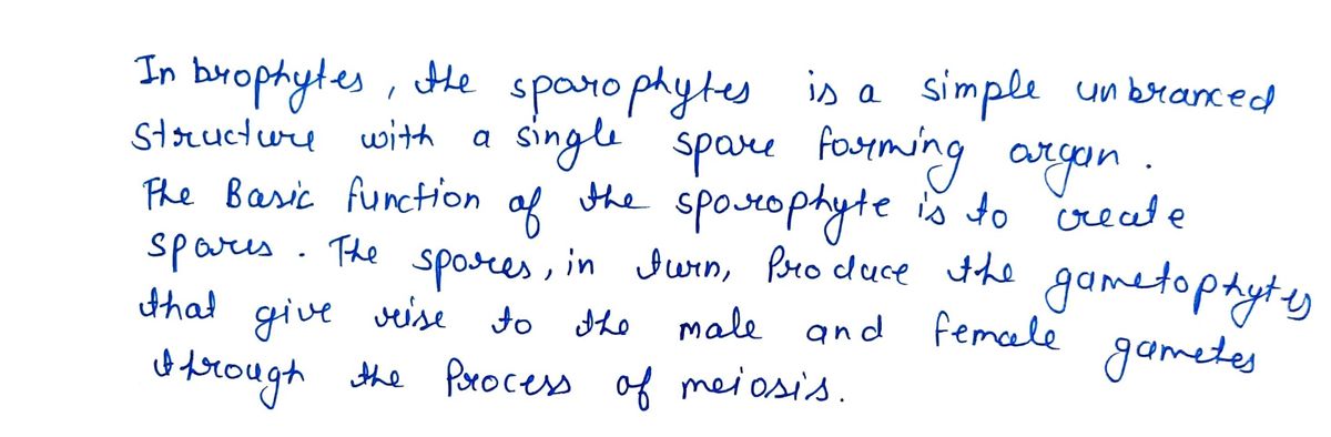 Biology homework question answer, step 1, image 1