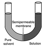 Biology homework question answer, step 1, image 1