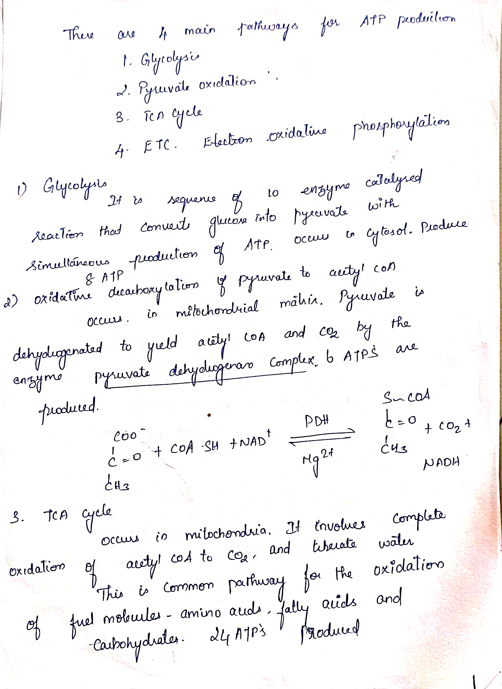 Biochemistry homework question answer, step 1, image 1