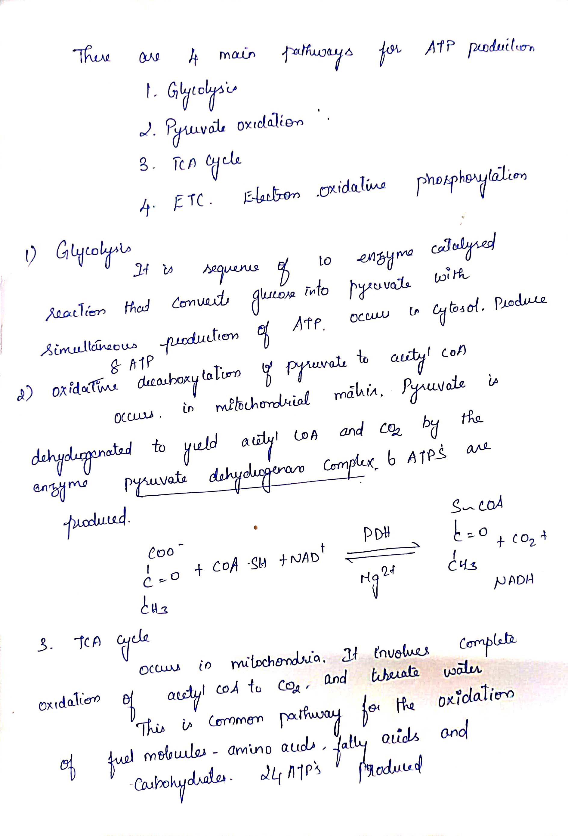 Biochemistry homework question answer, step 1, image 1