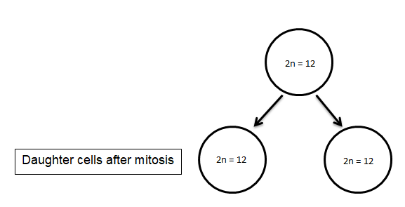 Biology homework question answer, step 2, image 1