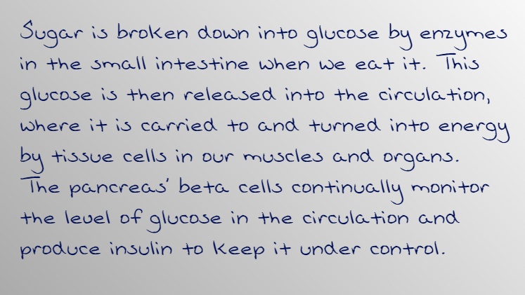 Biology homework question answer, step 1, image 1