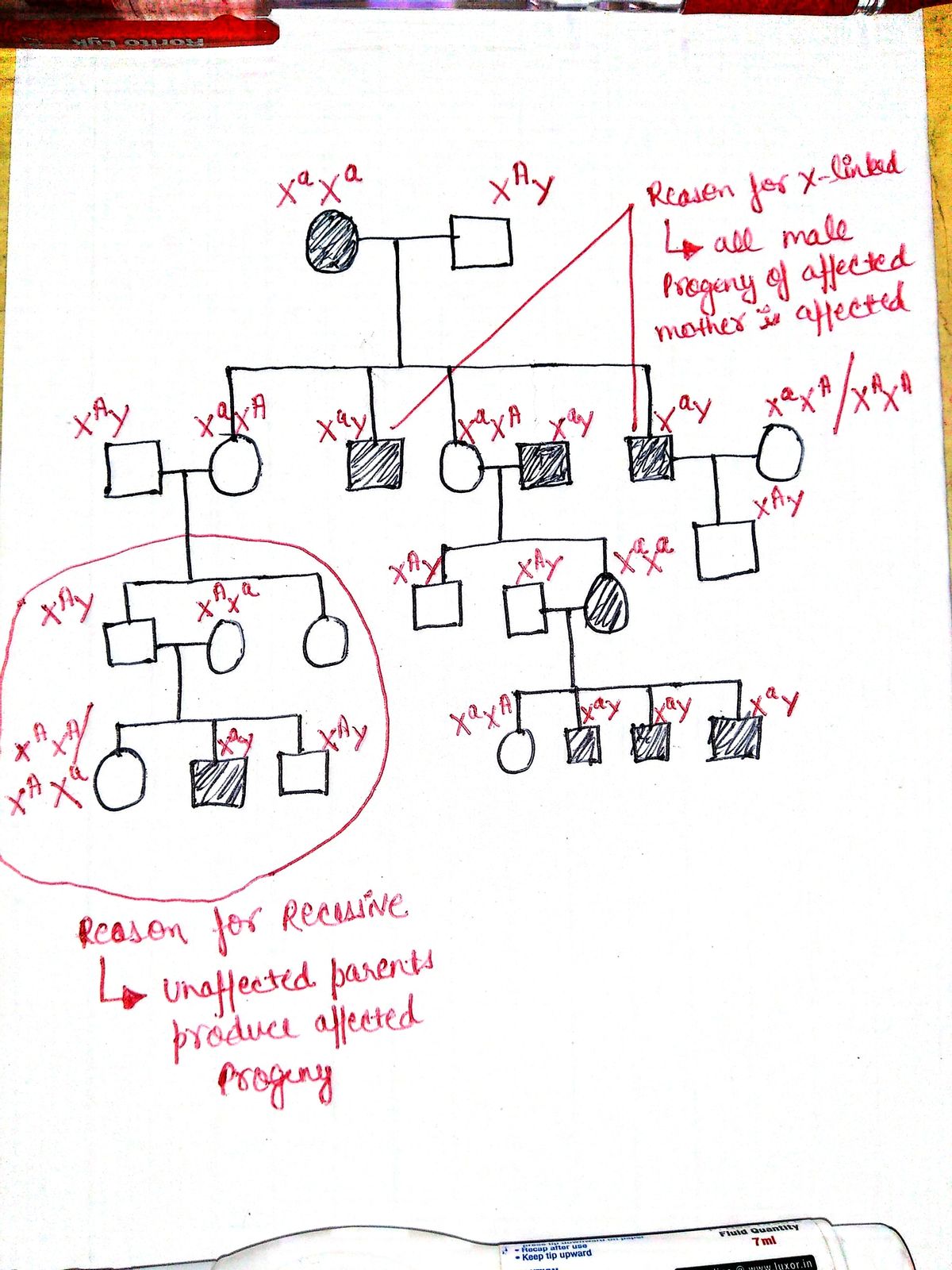 Biology homework question answer, step 1, image 1