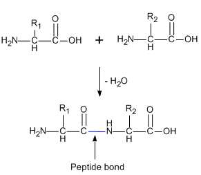 Chemistry homework question answer, step 1, image 2