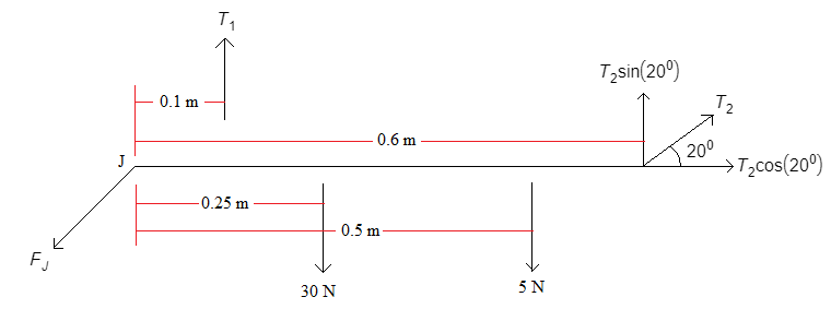 Answered: 18)The traction system shown is used to… | bartleby