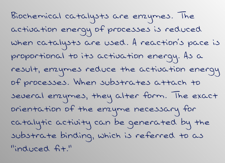 Biology homework question answer, step 1, image 1