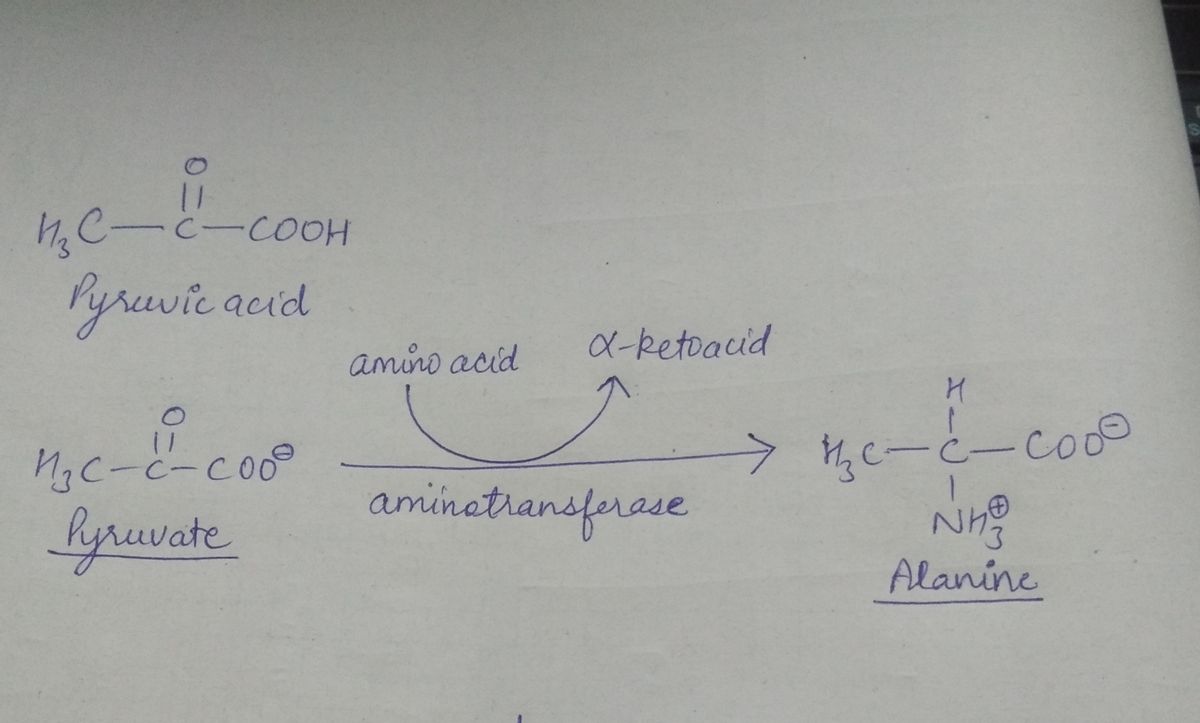 Chemistry homework question answer, step 2, image 1