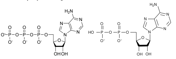 Chemistry homework question answer, step 1, image 1