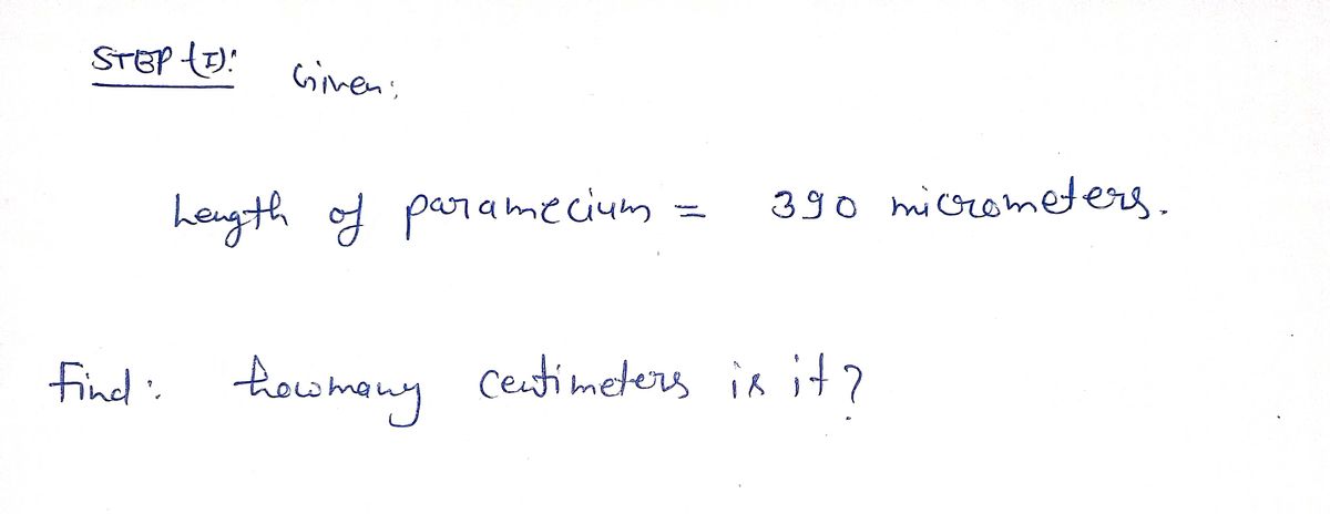 Calculus homework question answer, step 1, image 1