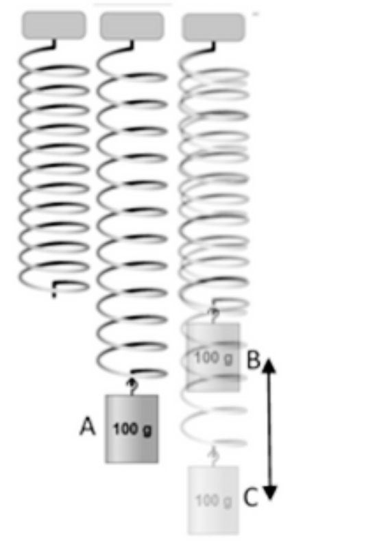 Physics homework question answer, step 1, image 1