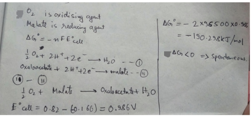 Biochemistry homework question answer, step 1, image 1