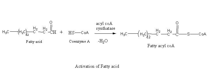 Chemistry homework question answer, step 1, image 1