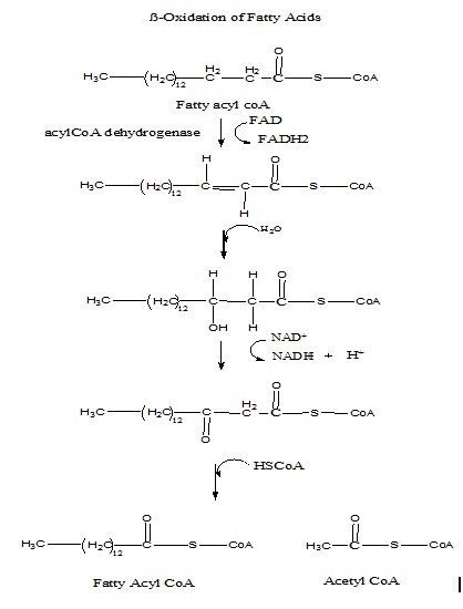 Chemistry homework question answer, step 2, image 1