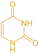 Biochemistry homework question answer, step 1, image 2