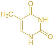 Biochemistry homework question answer, step 1, image 1