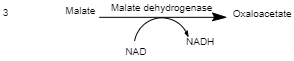 Biology homework question answer, step 2, image 3