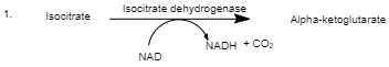 Biology homework question answer, step 2, image 1