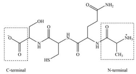 Chemistry homework question answer, step 1, image 1