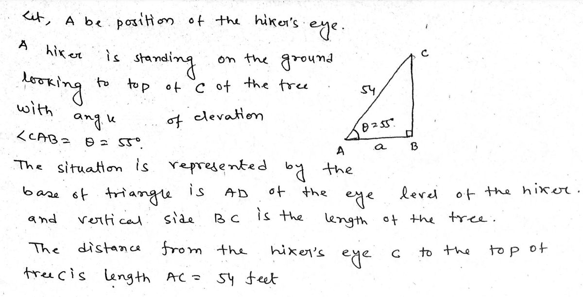 Trigonometry homework question answer, step 1, image 1