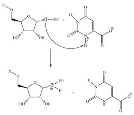 Chemistry homework question answer, step 1, image 1