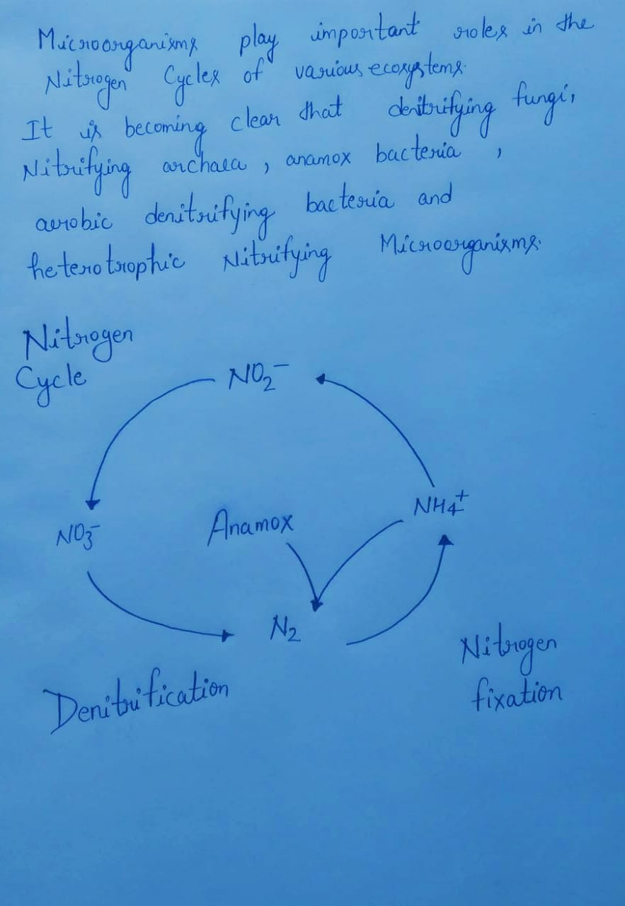 Biology homework question answer, step 1, image 1